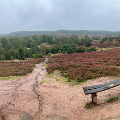 23-09-13 13-39-26 6832